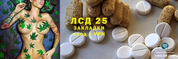 тгк Алзамай
