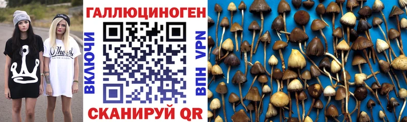 Псилоцибиновые грибы MAGIC MUSHROOMS  магазин    Пушкино 