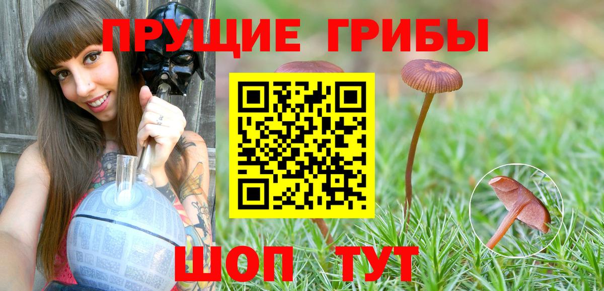 Галлюциногенные грибы мицелий  Псилоцибиновые грибы мухоморы  Вход с VPN  Пушкино 