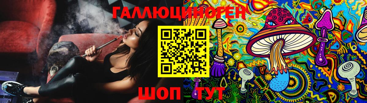 Галлюциногенные грибы Cubensis Пушкино
